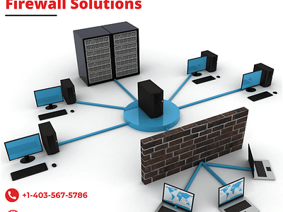 Professional Grade Firewall Solutions